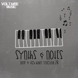 Synths And Notes 28 Cover